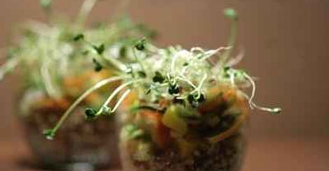 Verrine de quinoa petite salade mangue surimi et graines germées
